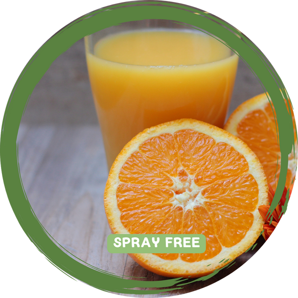 Oranges Juicing 1kg- Certified Organic