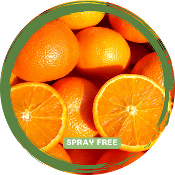 Oranges x 2-3 - Local Spray Free_