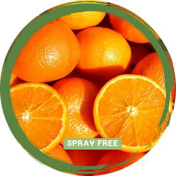 Oranges x 2-3 - Local Sprayfree_