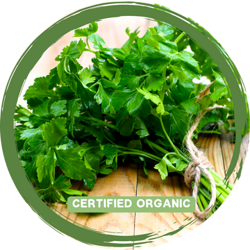 Parsley Flat Leaf - Certified organic