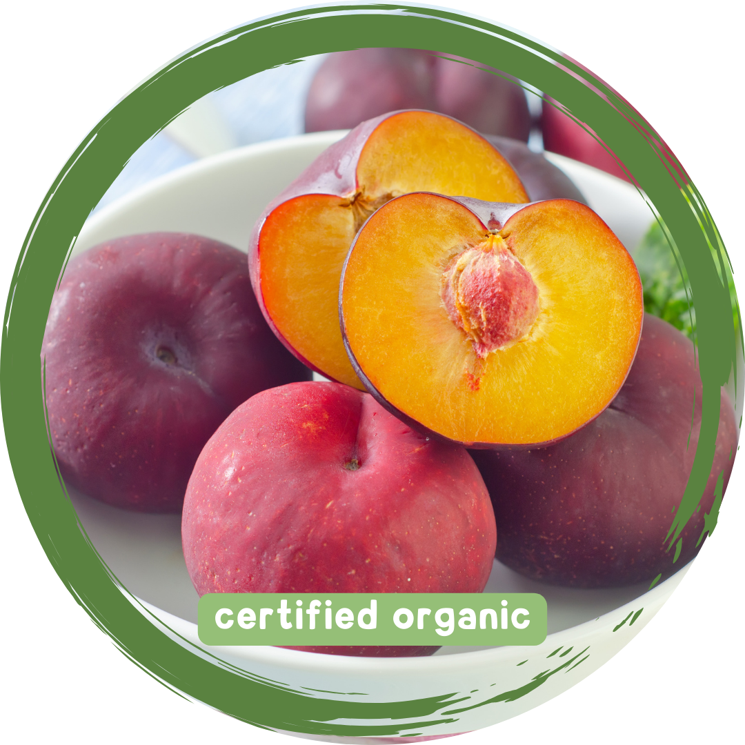 Plums - Certified Organic