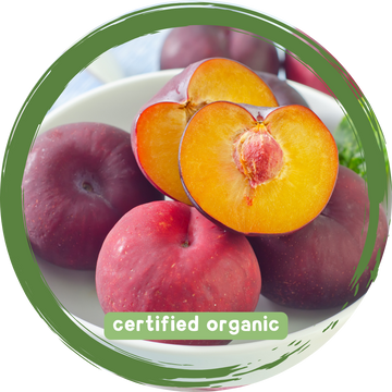 Plums - Certified Organic