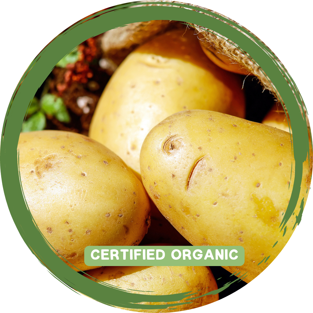 Potatoes - Dutch Cream -Certified Organic