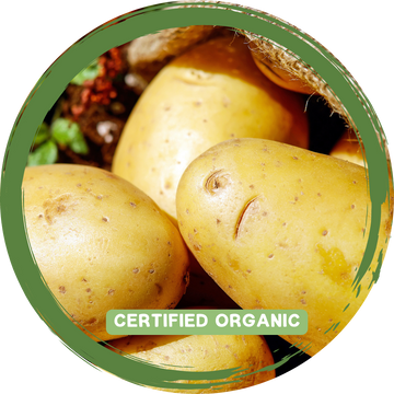 Potatoes - Dutch Cream -Certified Organic