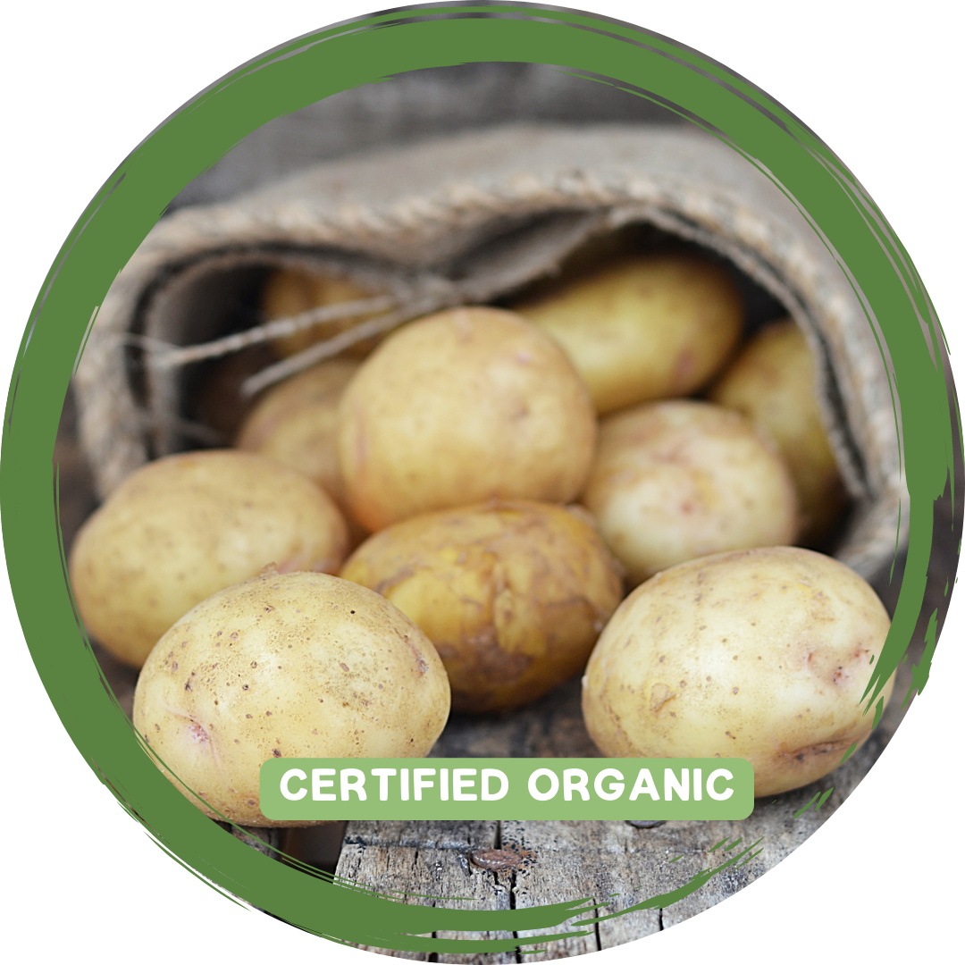 Potatoes - Sebago - Certified Organic