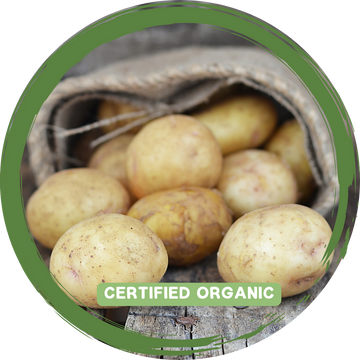 Potatoes - Sebago - Certified Organic