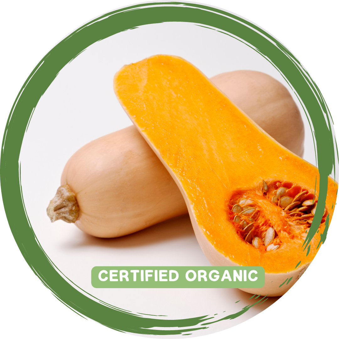 Pumpkin Butternut Piece - Certified Organic