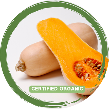 Pumpkin Butternut Piece - Certified Organic