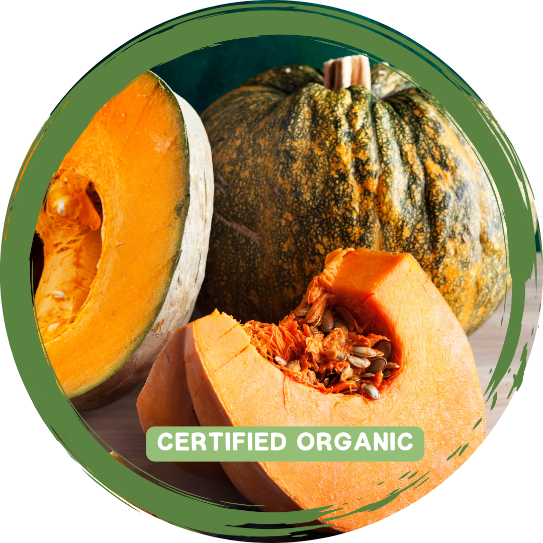 Pumpkin Jap Piece- Certified Organic