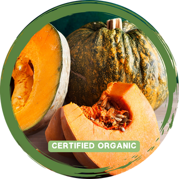Pumpkin Jap Piece- Certified Organic