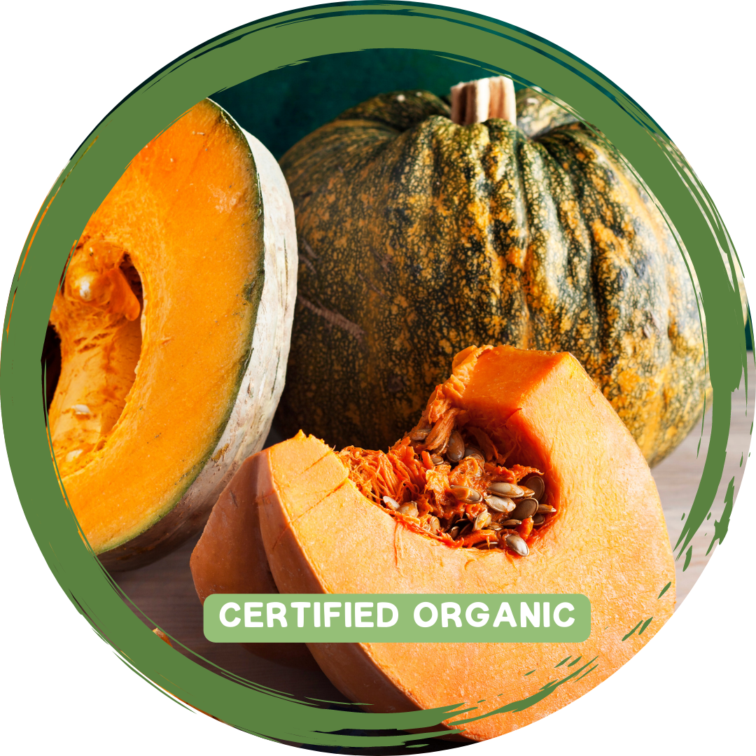 Pumpkin Piece_Certified Organic