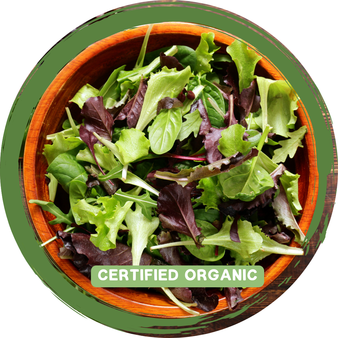 Mixed Salad Bag - Certified Organic_