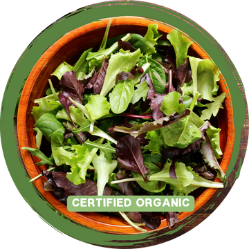 Mixed Salad Bag - Certified Organic_