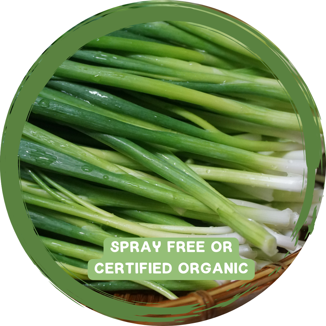 Shallots Bunch - Certified Organic_