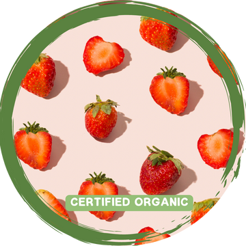 Strawberry Punnet 250g - Certified Organic