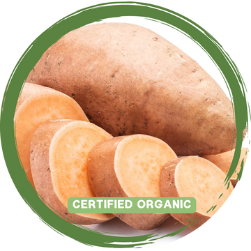 Sweet Potato - Certified Organic