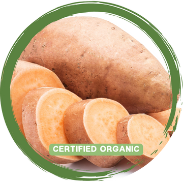 Sweet Potato x 1 - Certified Organic_