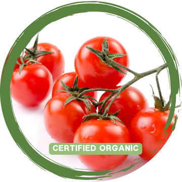Tomato Punnet - Certified Organic