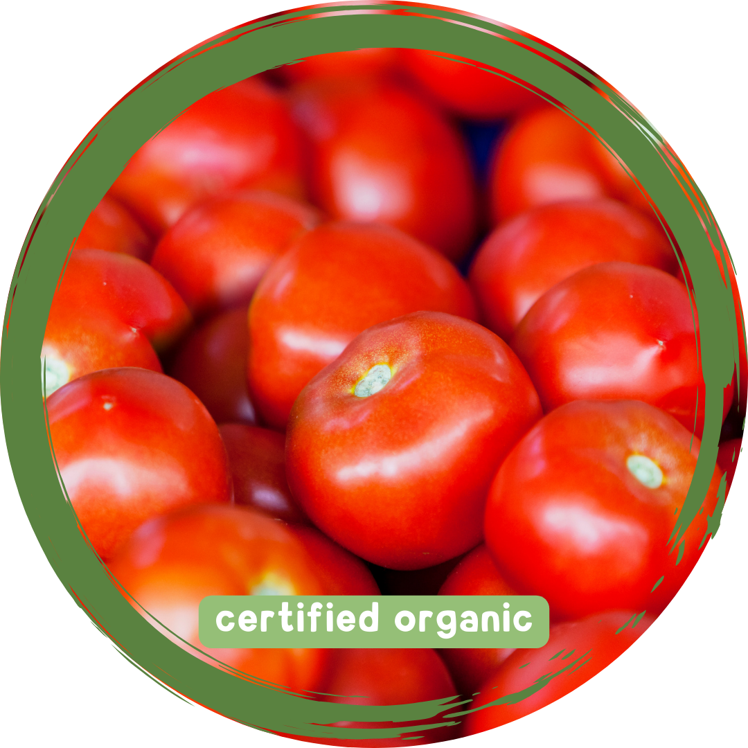 Tomatoes Round - Certified Organic