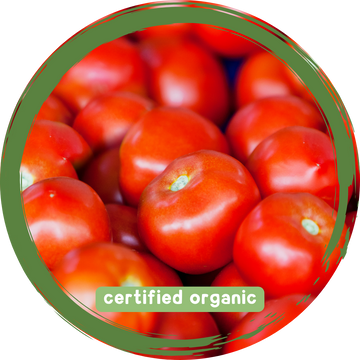 Tomatoes Round - Certified Organic