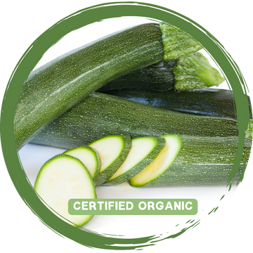 Zucchini - Certified Organic
