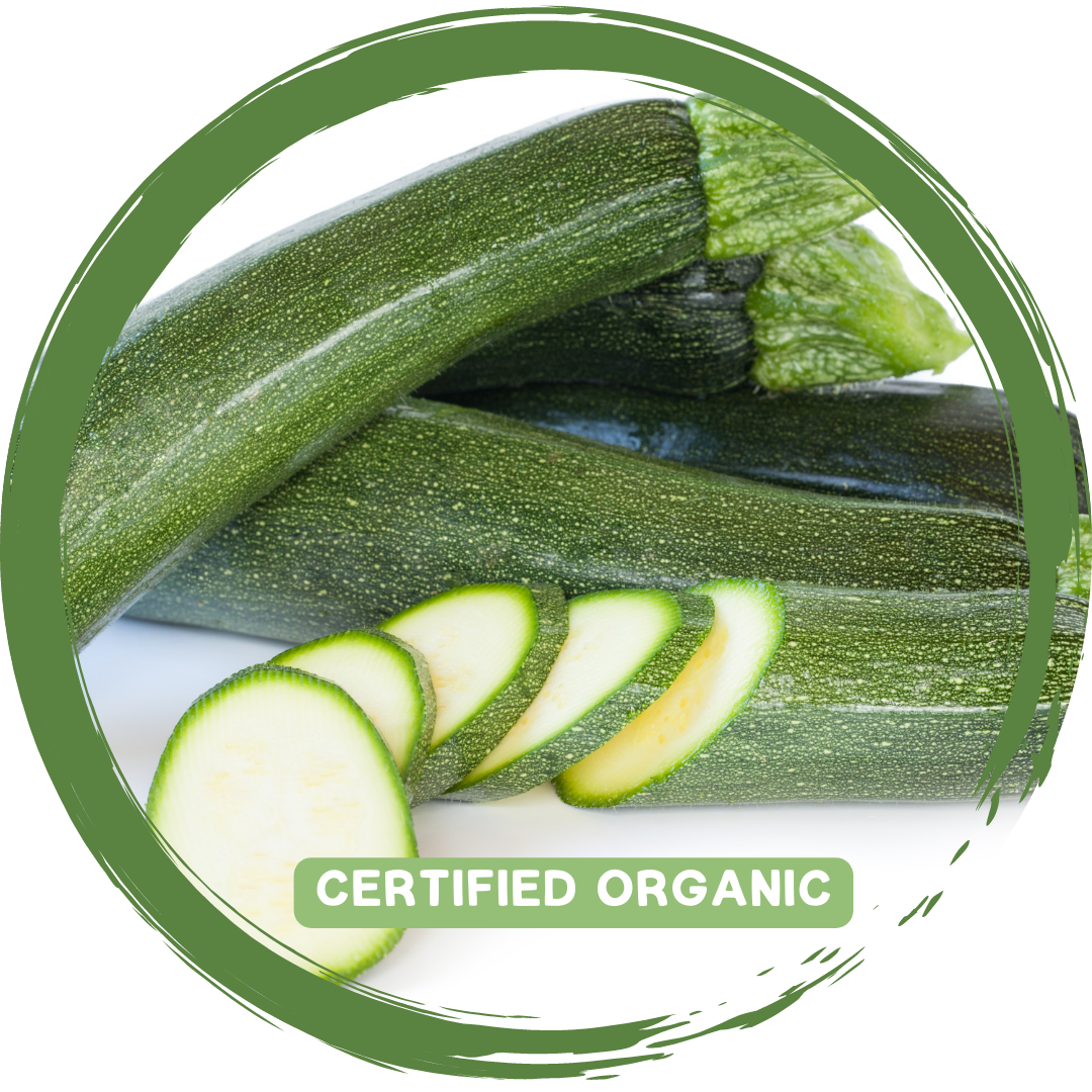 Zucchini 1-2_Certified Organic