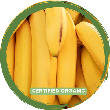 Bananas - Certified Organic