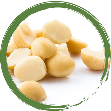 Macadamia Nuts Raw-Certified Organic