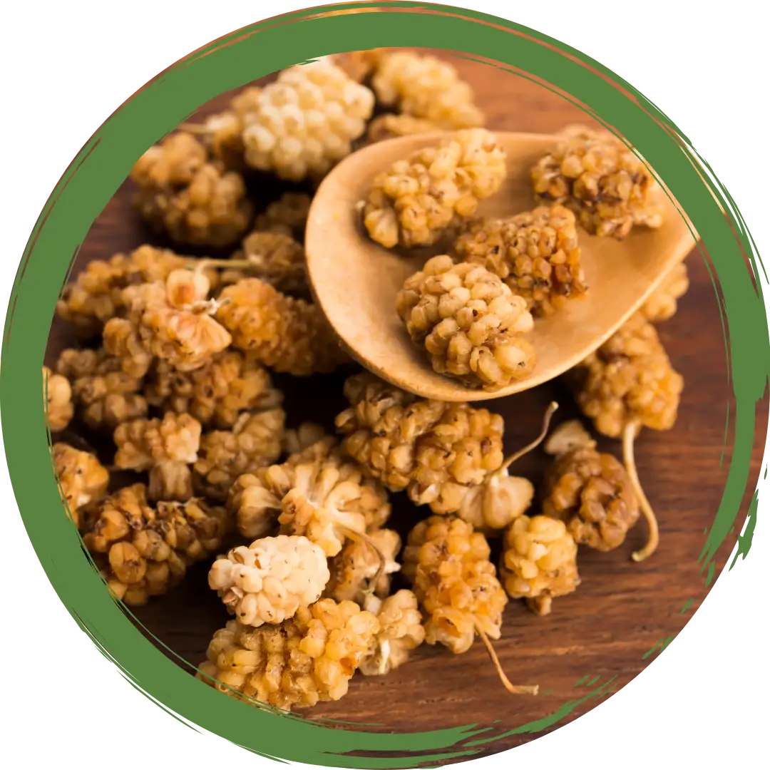 Dried Mulberries- Certified Organic