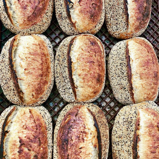Bread - Signature Organic Toasted Sesame Loaf
