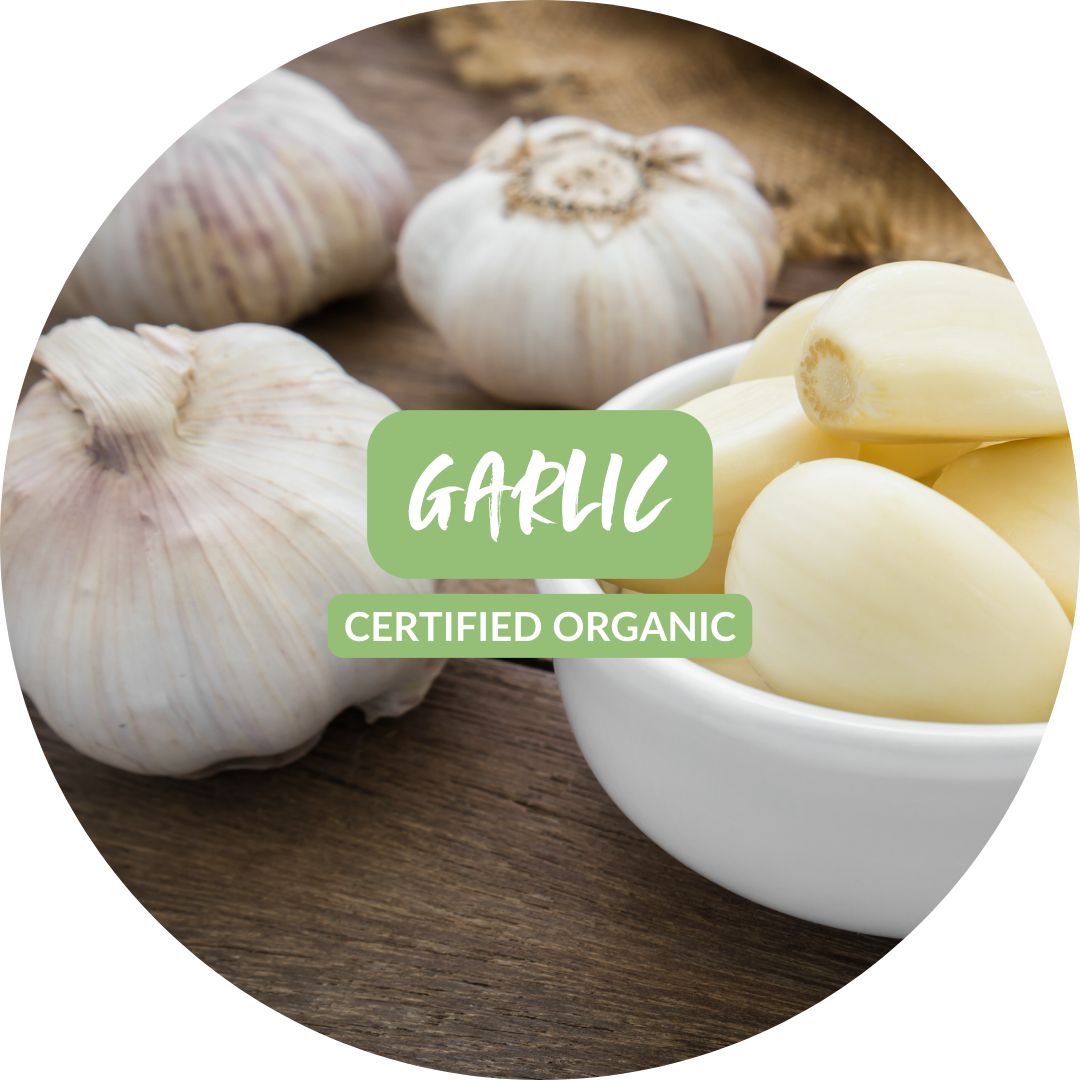 Garlic - 80gm Certified Organic